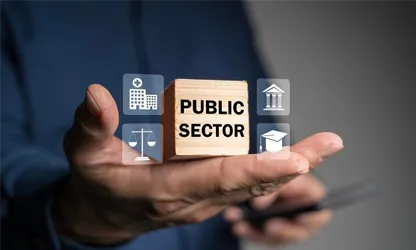 Public Sector